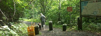 「さぁ、海岸まで下りるよ」