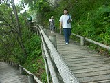 山道をしばらく行くとこんな木道に