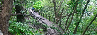 「ベル、大丈夫か?」